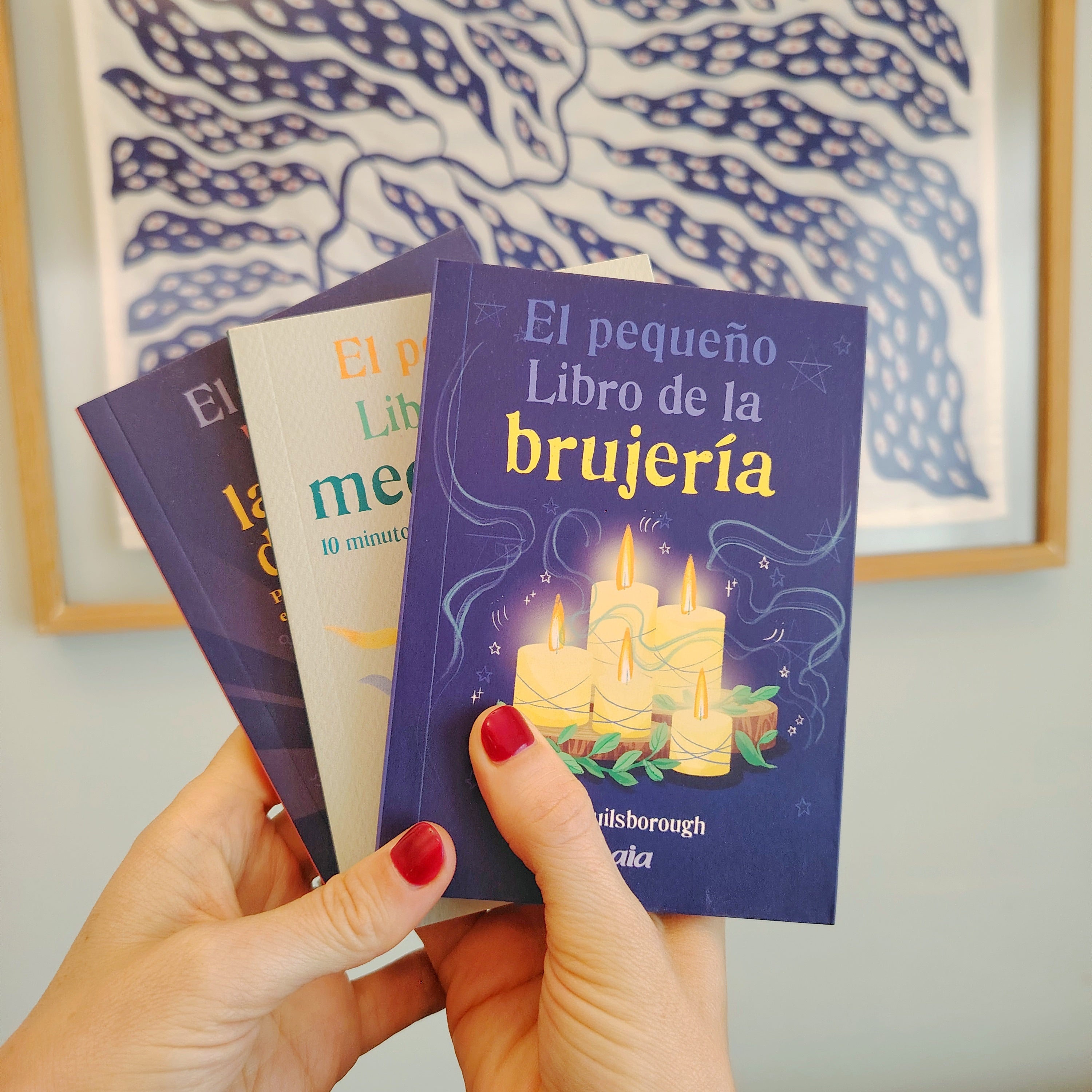 EL PEQUEÑO LIBRO DE LA BRUJERÍA