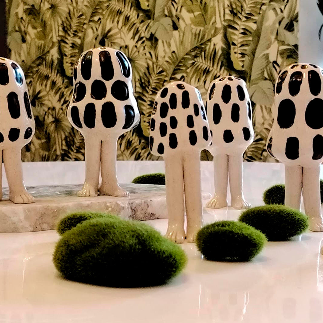 FUNGI LOVERS