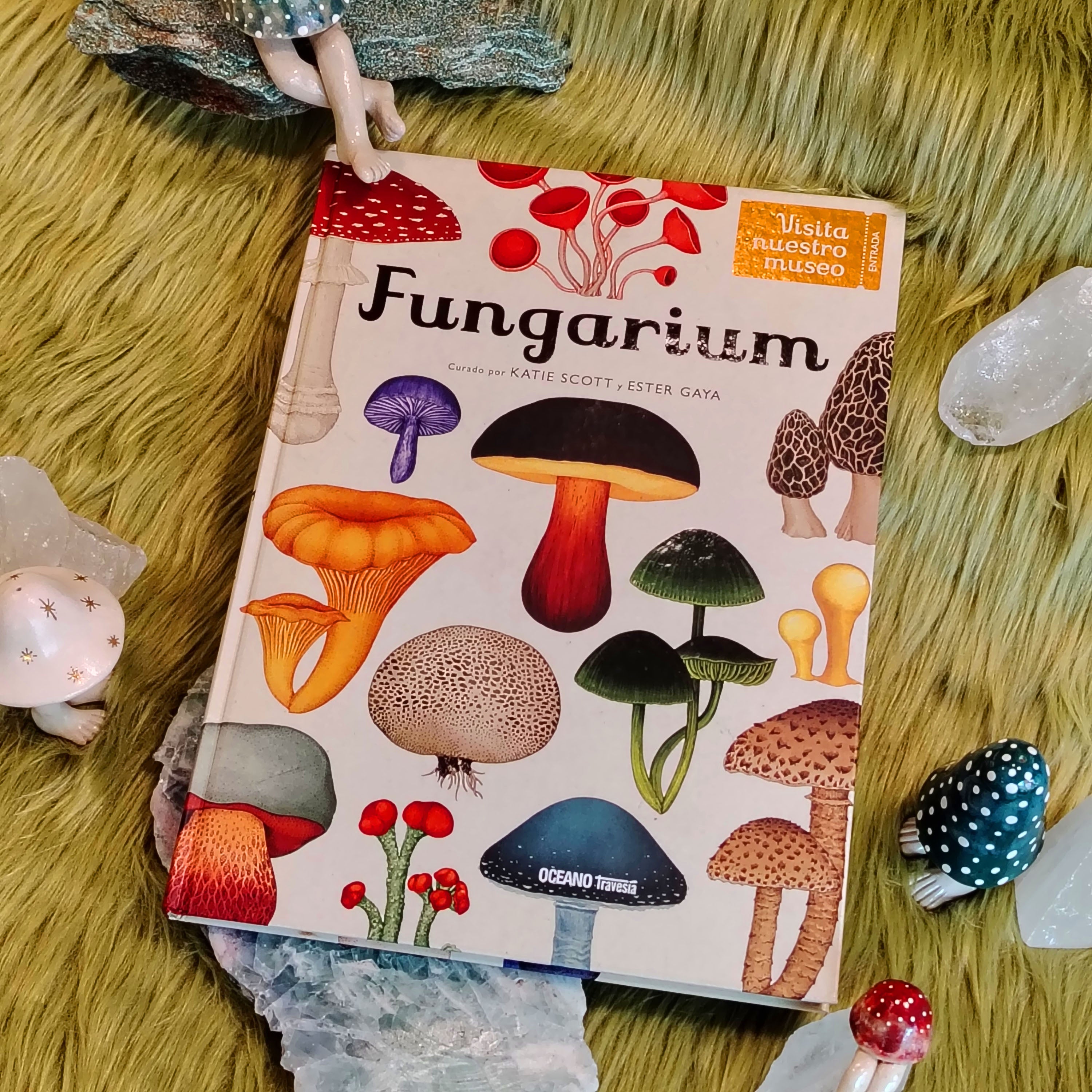 FUNGARIUM
