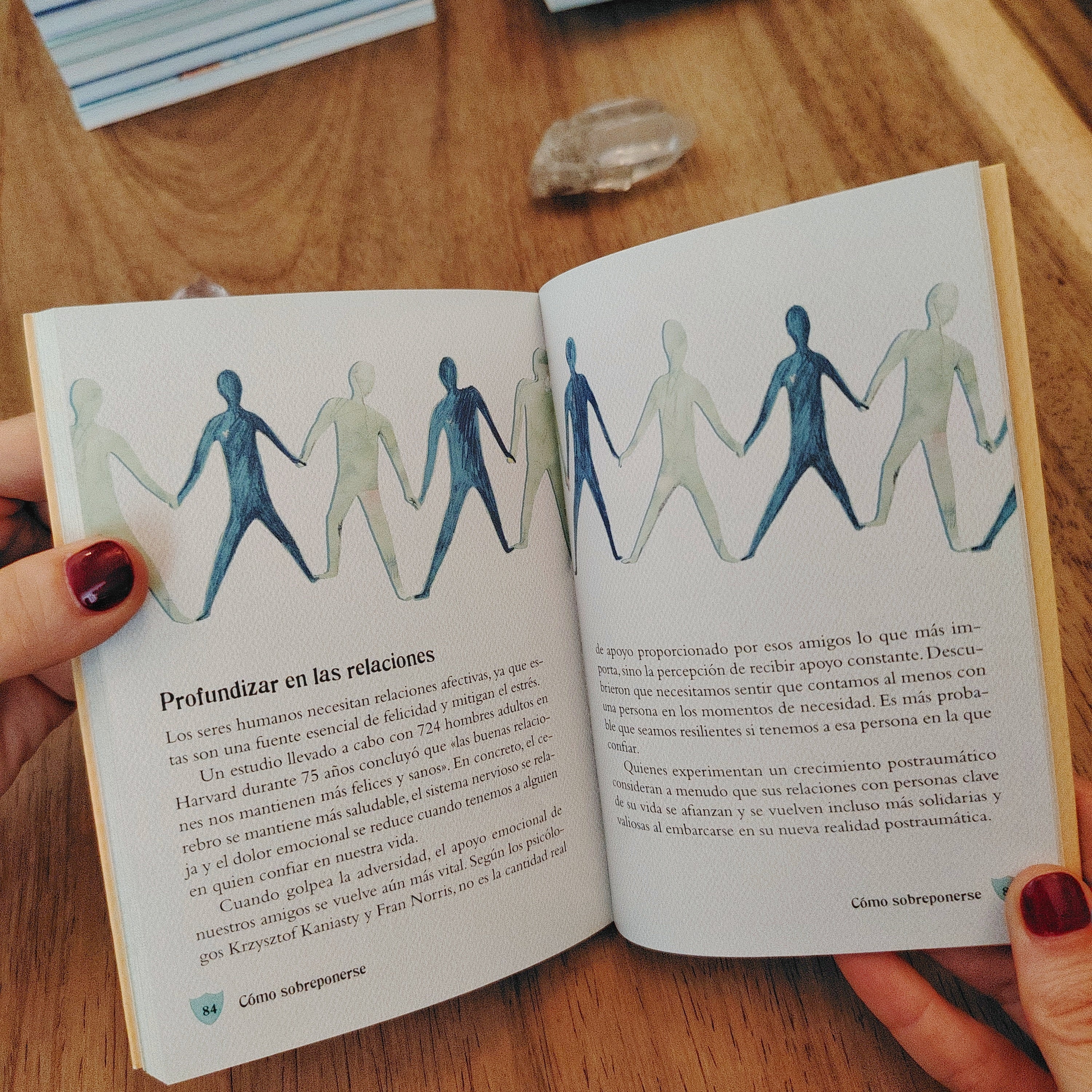 EL PEQUEÑO LIBRO DE LA RESILIENCIA