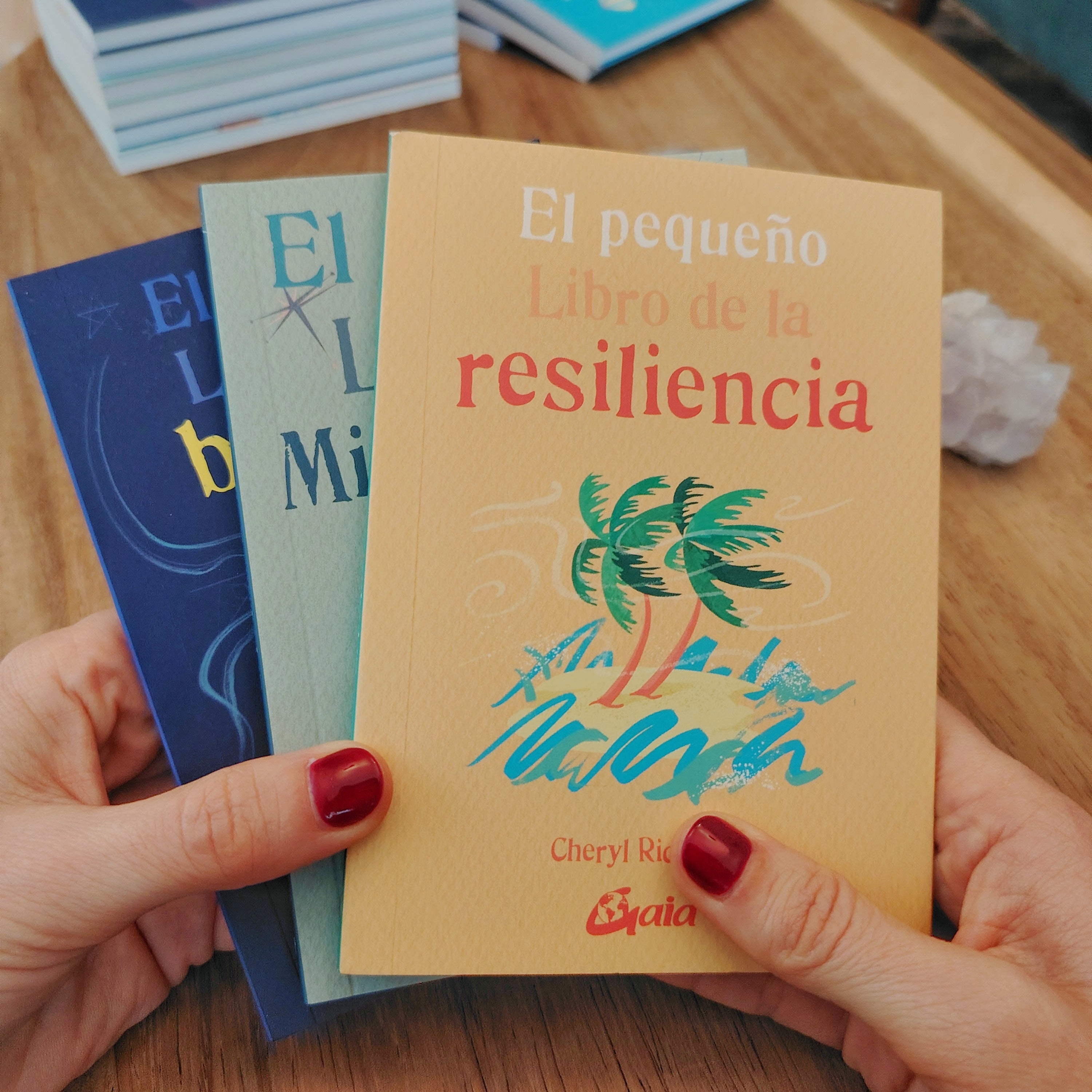 EL PEQUEÑO LIBRO DE LA RESILIENCIA