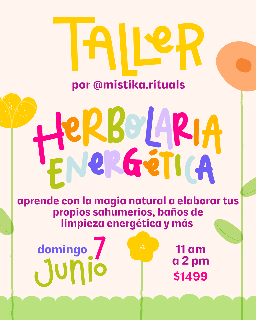 TALLER - HERBOLARIA ENERGÉTICA